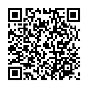 原本有些变色的枯骨变得洁白中透着粉红的颜色二维码生成