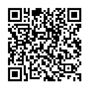 原本有些小心思的贵妇们重新把自己那颗不安分的心放回了原处二维码生成