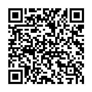 原本有野心想要趁机统一整个西北水域的白鳞虎蛟族二维码生成