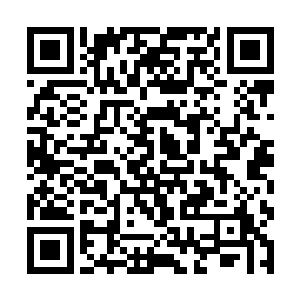 原本期待宫中娘娘给琳琅卢氏大宅里的那位寡妇施压二维码生成