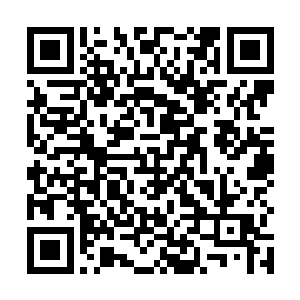 原本来自最高议会和天空之城方面的阻力也削弱了很多二维码生成