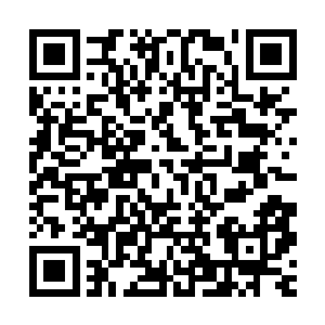 原本杨戬以为凭借四象魔器磨山四怪能够跟合欢老鬼抗衡一会儿二维码生成
