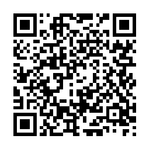 原本林辰对于这突然出现的声音还感到些许的诧异二维码生成