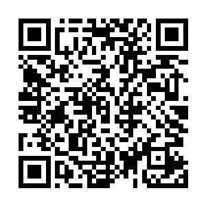 原本林辰还以为自己是要与眼前的黑衣少年直接切磋实力二维码生成