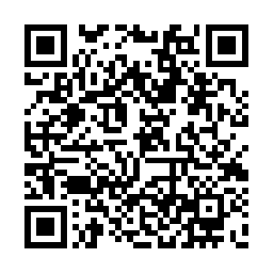 原本枯黄的野草中已经有一些生出了嫩绿的新芽二维码生成