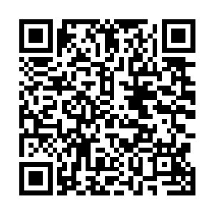 原本正准备跟那三尸化身拼命的楚旬等人都纷纷愣了一下二维码生成
