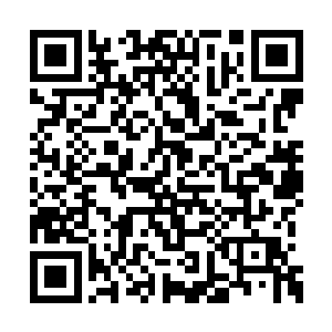 原本正在安慰着张伯涛的机械学院的那些学生们二维码生成