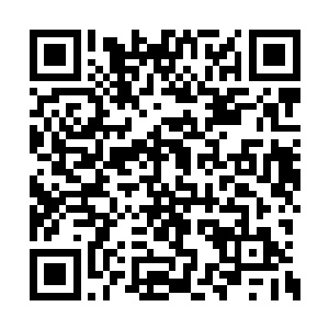 原本正忙着给赵虎拜年的赵虎军成员全都愣住了二维码生成