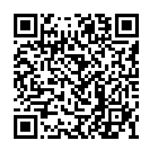 原本正打着关灿灿的那几个男生就被飞踹了出去二维码生成