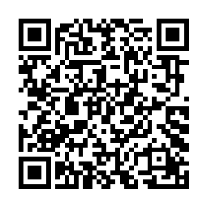 原本武家的阵营之中几乎是所有势力之中最为庞大的二维码生成