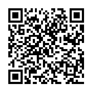 原本比雷天高大许多的妖族现在却变得像是一只小虫子二维码生成