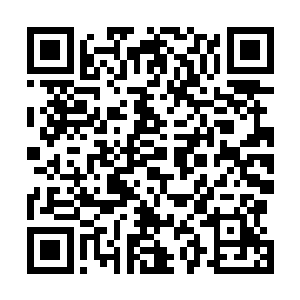 原本气势汹汹的彘族战士们此时全都慌忙掉头就往回路跑二维码生成