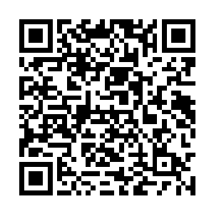 原本汇聚诸多领主意志的潮汐之力也陡然衰弱下去二维码生成