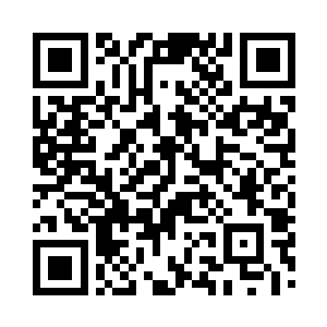 原本沉闷的屋子里顿时变的鲜艳生动起来二维码生成