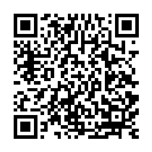 原本没人感兴趣而有些冷场的拍卖场中只有萌星激动的尖叫声二维码生成