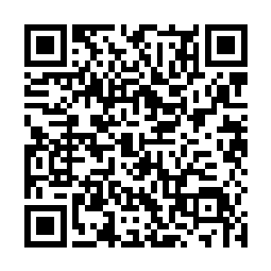 原本清晰的那张由四属性融合而成的巨网变得模糊不清二维码生成