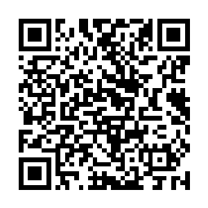 原本清雅淡然的红眸里突然射出勾人心魄的魅惑媚容二维码生成