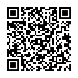 原本爪牙舞爪的数千数万根树根仿佛潮水一般倒了下去二维码生成