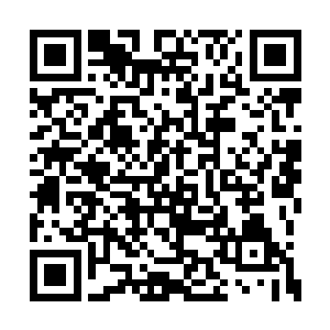 原本特蕾西和布拉德还是用一副居高临下的模样二维码生成