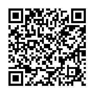 原本特蕾西还是打算继续和雷尼合作¨虎胆龙威的二维码生成