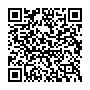 原本璀璨的流光也不知何时已经消失地无影无踪二维码生成