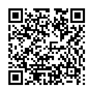 原本生命之树头顶那碧空如洗的天空发生了巨大变化二维码生成