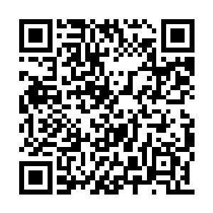 原本痛苦忏悔的徐院长和刘九阴又再次狂笑起来二维码生成