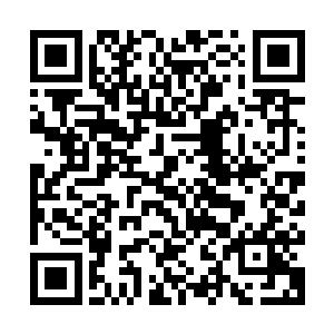 原本瘦弱修长的身形却展现出了与健硕身材截然不同的格斗风格二维码生成
