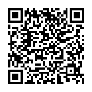 原本白白胖胖的市民甚至从生理上都发生了异变二维码生成