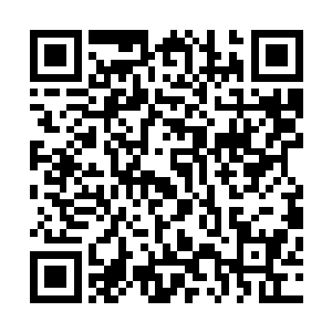 原本盘旋在五色玉台上空的白色元纹忽然没入五色玉台之中二维码生成