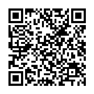 原本目光呆滞的病号们这时候好像被注入了希望一般二维码生成