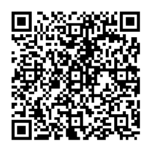 原本眉清目秀的他顿时化作一个浑身狰狞的人形怪物 尾巴在虚空舞动 都能让其颤抖二维码生成