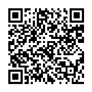 原本看上去气势非凡的上万名高手连十分钟都没能挺的过去二维码生成