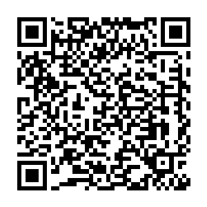 原本看起来波澜不惊的灵池之中也开始浮现出一道道密密麻麻的光链二维码生成