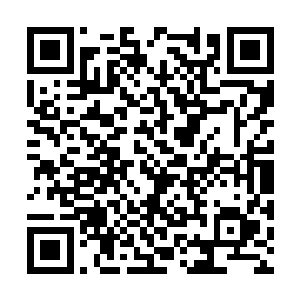 原本秦方他们所坐的位置就好像是一个大戏院一般二维码生成