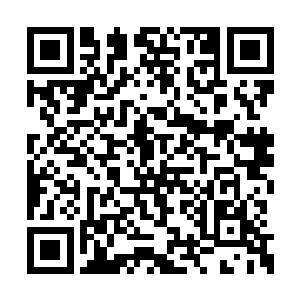 原本空旷的地方就已经有数百名士兵站在这里了二维码生成