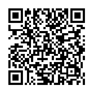 原本站着的人此刻皆是躺在了地上不断的哀嚎着二维码生成