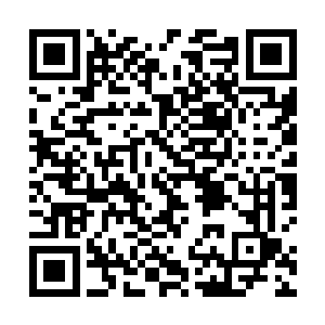 原本笼罩在玄黄天地印核心之处的禁制也瞬间直接破碎二维码生成