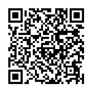 原本等待着流墨墨被血化吞噬干净的精瘦男子皱着眉头说道二维码生成