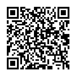 原本经过墨景祁那么多年的压制和临死前的一击二维码生成