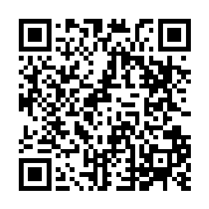 原本结成如同城墙一样的魔晶石阵竟有了稍许松动二维码生成