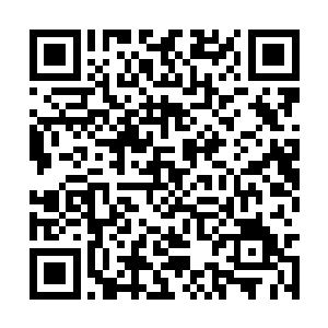 原本罗克特就知道自己在老布鲁克心中没什么位置二维码生成