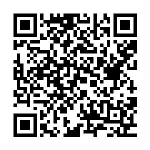 原本群情激奋的众人在看见出头鸟身死之时都纷纷冷静了头脑二维码生成