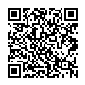 原本老衲许诺你在臧佛塔中滞留的时间只有七七四十九天二维码生成