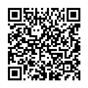 原本肆虐沈凡的黑色猛虎在一道阴阳光芒缠绕在沈凡身上之后二维码生成