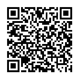 原本肉眼无法察觉的禁制此刻在镜子玄光的笼罩之下二维码生成