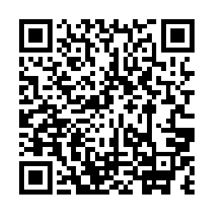 原本胡院长对江少游说的诊断结果其实还有一些怀疑的二维码生成