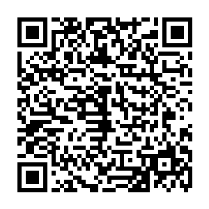 原本能载客五六十个人的飞船除了陈凌一行八个也就另外十个人坐在飞船上二维码生成