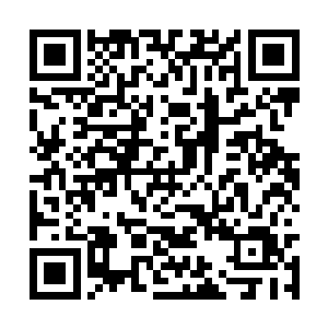 原本脸上的得意的表情顿时也直接消失的无影无踪二维码生成