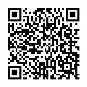 原本苏凡打算的是跟着林豹他们了解下现在所有局势的时候二维码生成